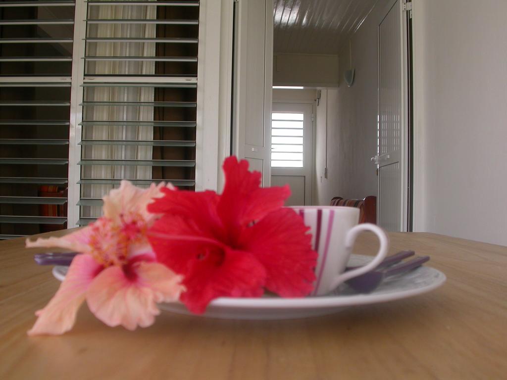 Maison De Vacances A St Anne Martinique Villa Sainte-Anne Exteriör bild
